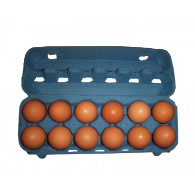 Eggs 600g Caged Dozen